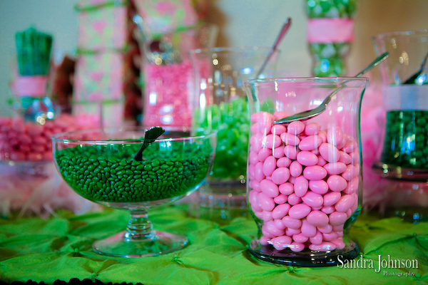 Best Nottoway Plantation Wedding photographer - Sandra Johnson (SJFoto.com)